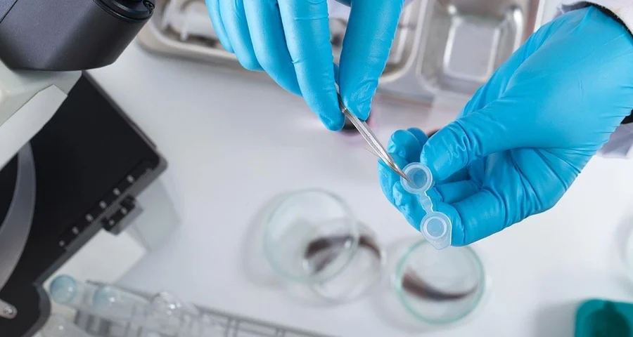 Gloved hands placing a hair into a test vial
